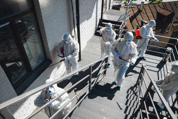 Best Residential Mold Inspection & Testing  in Smith Mills, MA