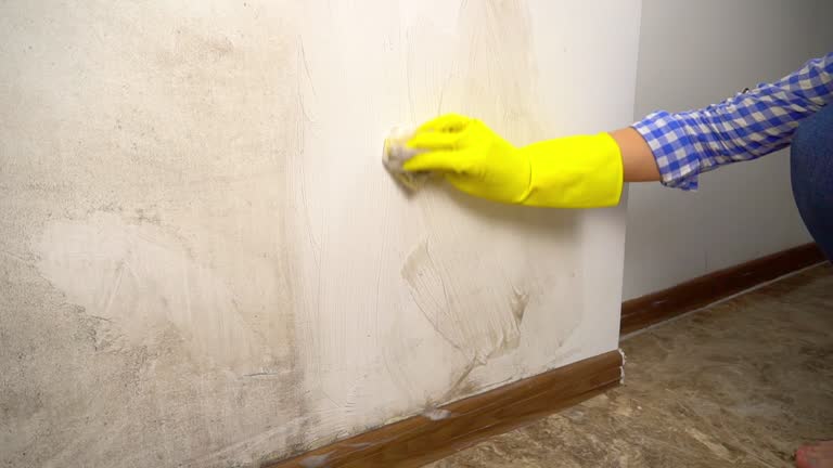 Best Mold Prevention Services  in Smith Mills, MA