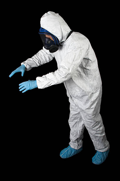 Best Emergency Mold Remediation  in Smith Mills, MA