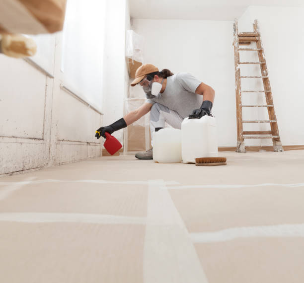 Best Post-Construction Mold Inspection  in Smith Mills, MA